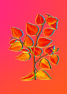 Neon Floral Illustration