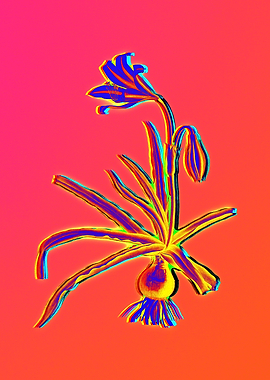 Neon Flower Illustration