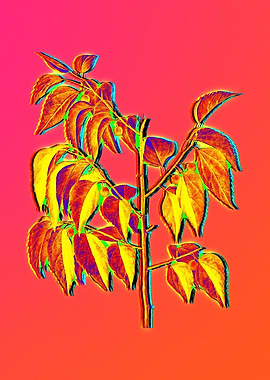 Neon Botanical Flowers