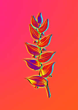Neon Flora Illustration