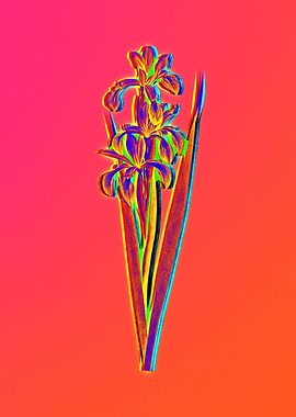 Neon Florals Illustration