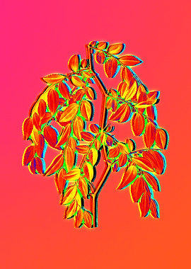 Neon Floral Illustration