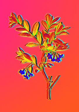 Neon Flower Illustration