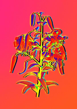 Ultraviolet Neon Flowers