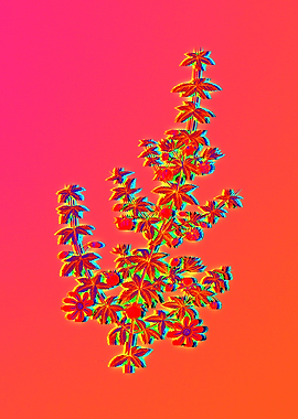 Neon Pop Flower Painting