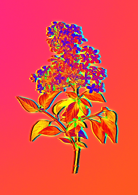 Neon Botanical Flower