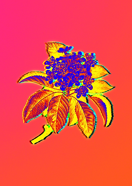 Neon Botanical Drawings