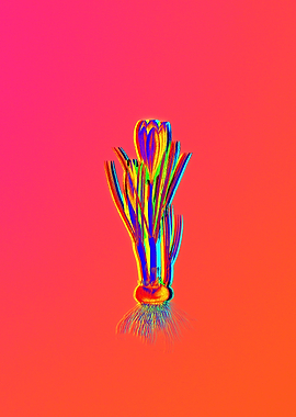 Red Botanical Illustration