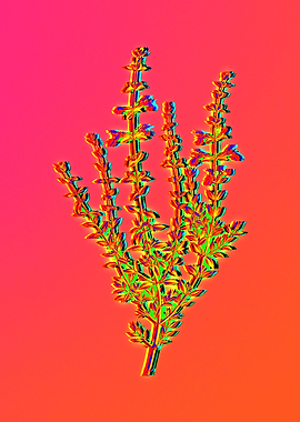Neon Botanical Flower