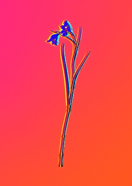 Neon Florals Illustration