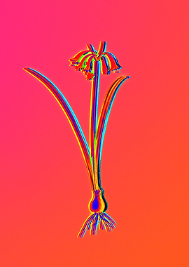 Neon Botanicals Drawing