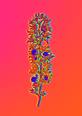 Neon Floral Illustration