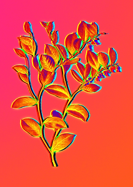 Neon Floral Illustration