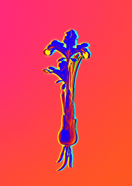Neon Florals Illustration