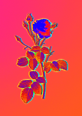 Neon Flowers Illustration