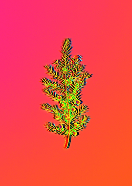 Neon Botanical Flowers