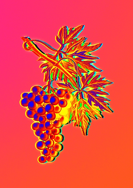 Yellow Flower Red Flower