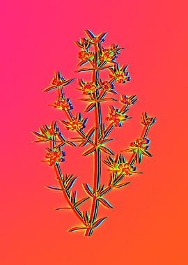 Neon Fabulous Flowers