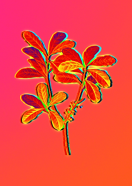 Neon Flower Illustration