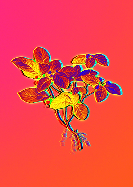 Neon Floral Illustration