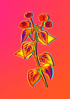 Neon Floral Illustration