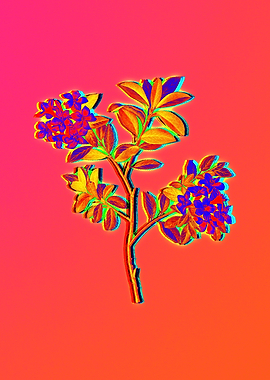 Neon Fabulous Flowers