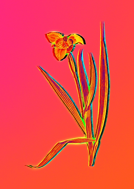 Neon Flower Illustration