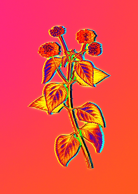 Neon Flowers Illustration