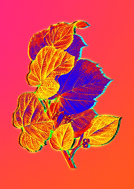Neon Floral Illustration
