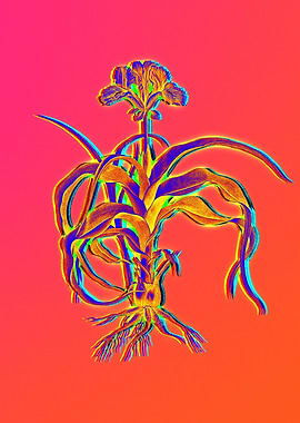 Neon Florals Illustration