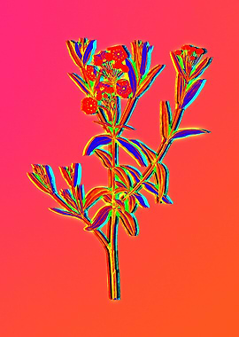 Bright Pink Neon Botanical