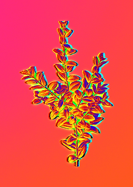 Neon Floral Illustration