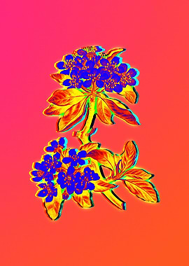 Neon Botanical Drawing