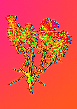 Neon Flower Illustration