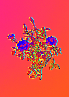 Neon Floral Illustration