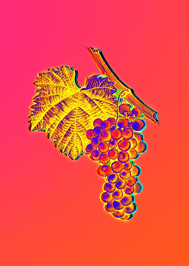 Yellow Flower Red Flower