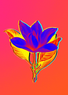 Neon Flower Illustration