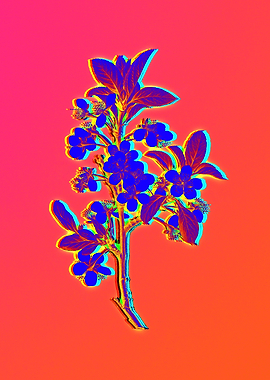 Neon Flower Illustration