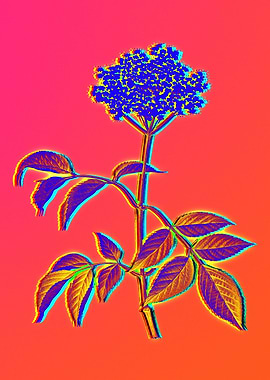 Neon Floral Illustration