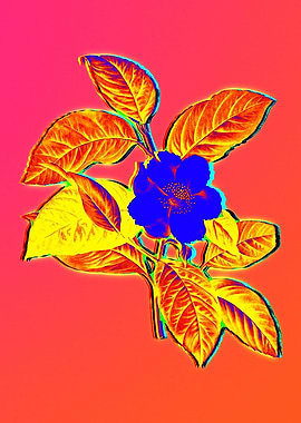 Neon Botanical Drawings