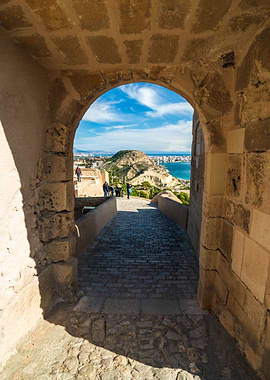 Discover the outside