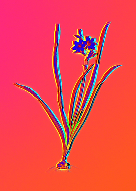 Neon Flower Illustration