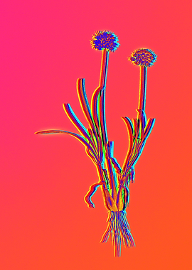Neon Flower Illustration