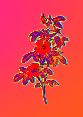 Neon Florals Illustration