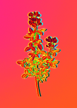 Neon Botanical Flowers