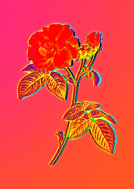 Neon Floral Illustration