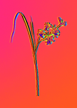 Neon Flower Illustration