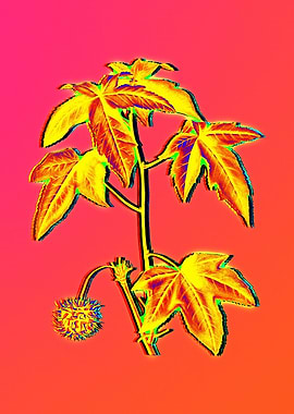 Neon Floral Illustration