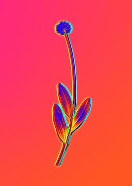 Neon Flora Illustration
