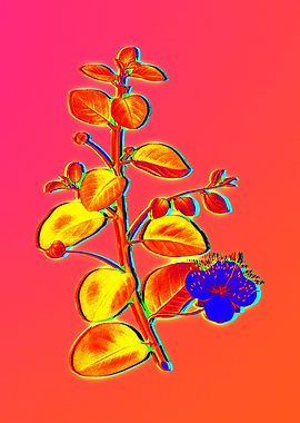 Neon Floral Illustration